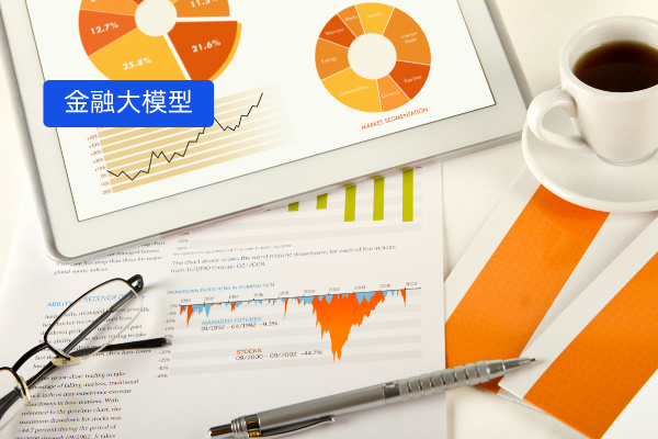 金融大模型
